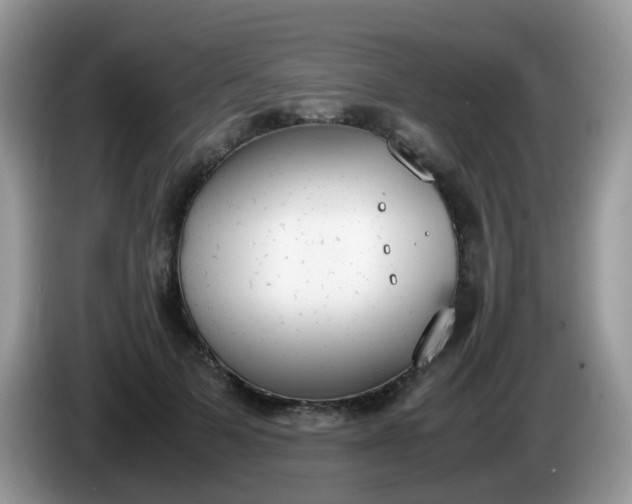 X0000086240697200704121934