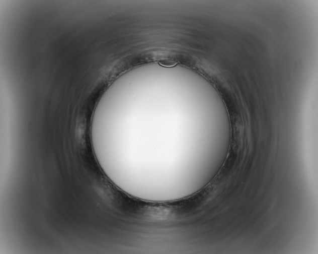 X0000086240698200704121934