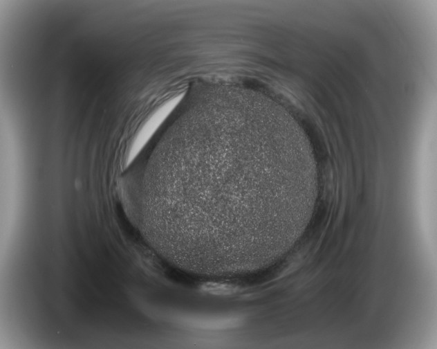 X0000086240699200704121934