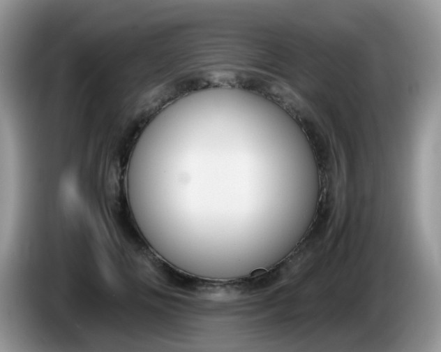 X0000086240702200704121934