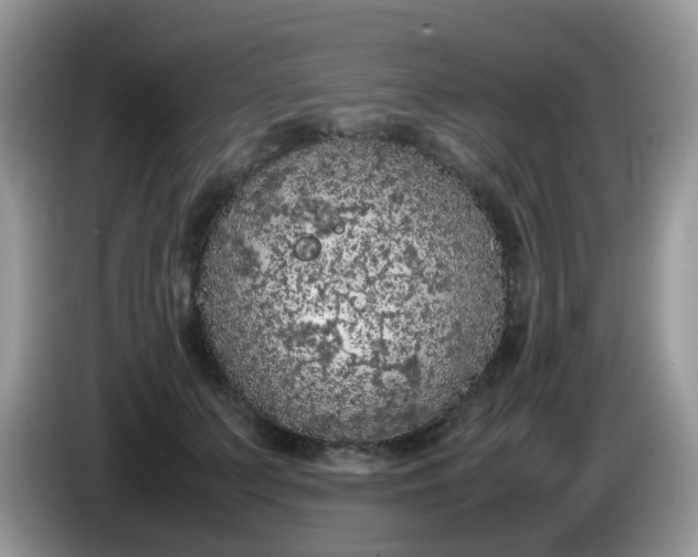 X0000086240703200704121934