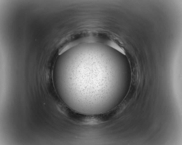 X0000086240704200704121934