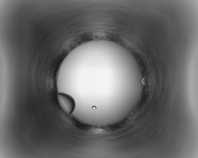 X0000086240706200704121934