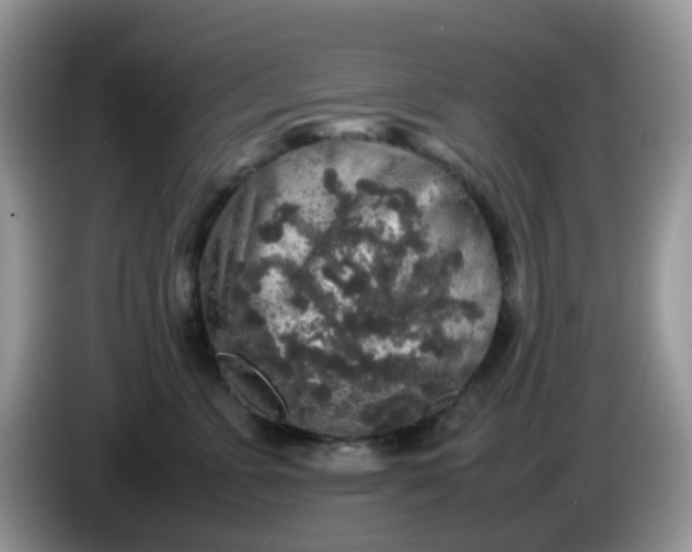 X0000086240715200704121933