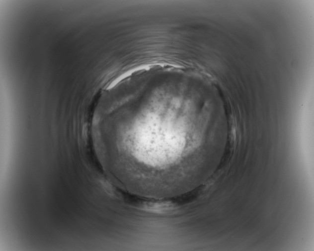 X0000086240716200704121933