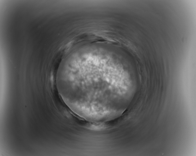 X0000086240720200704121933