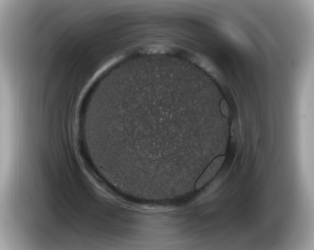 X0000086240722200704121933