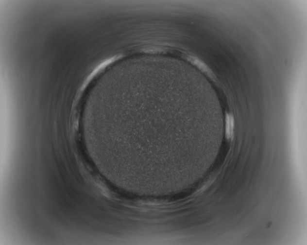 X0000086240723200704121933