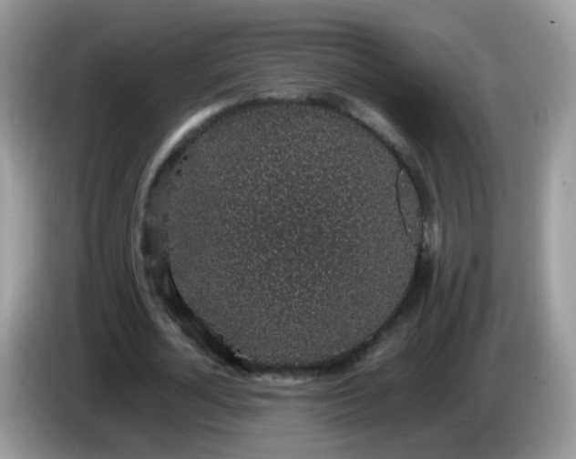 X0000086240724200704121933