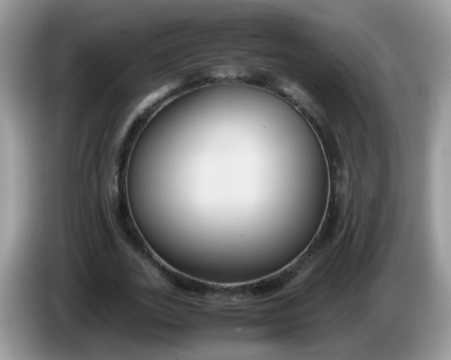 X0000086240727200704121933