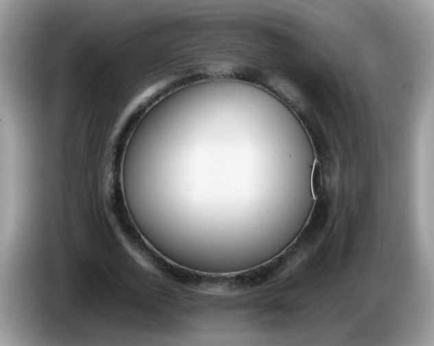 X0000086240728200704121933
