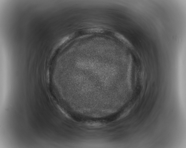 X0000086240729200704121933