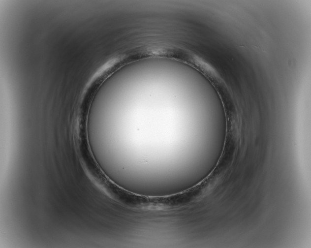 X0000086240730200704121933