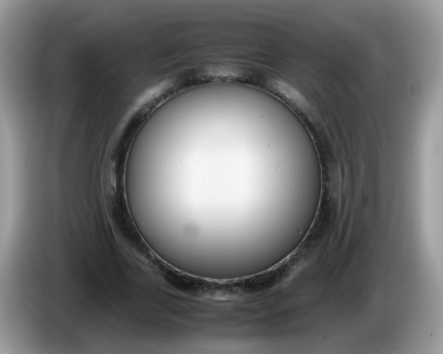 X0000086240731200704121933