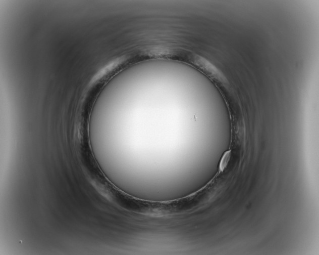 X0000086240732200704121933