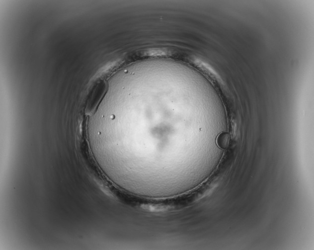 X0000086240733200704121933