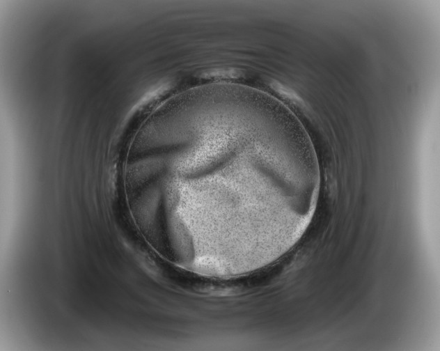 X0000086240735200704121933