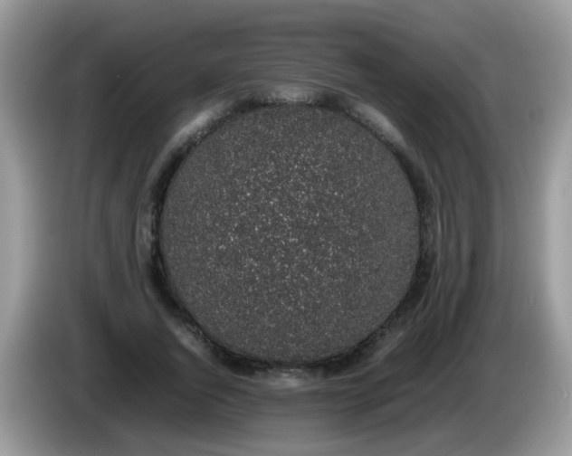 X0000086240736200704121933