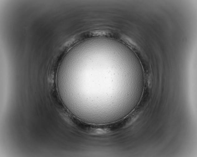 X0000086240737200704121933