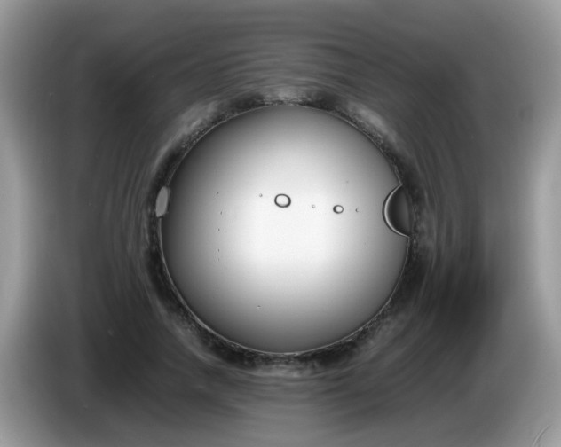X0000086240738200704121933