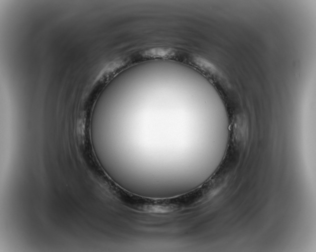 X0000086240739200704121933