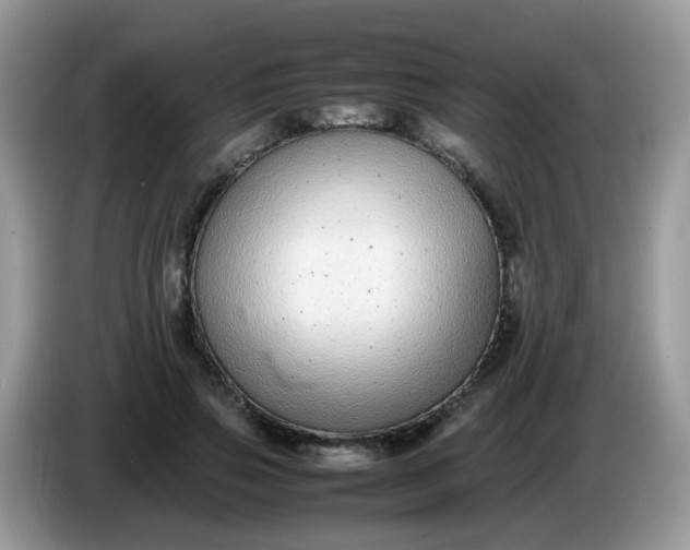 X0000086240741200704121933