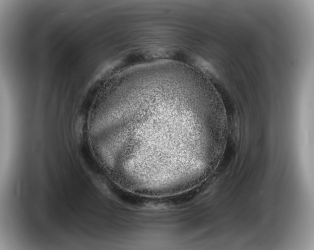 X0000086240742200704121933
