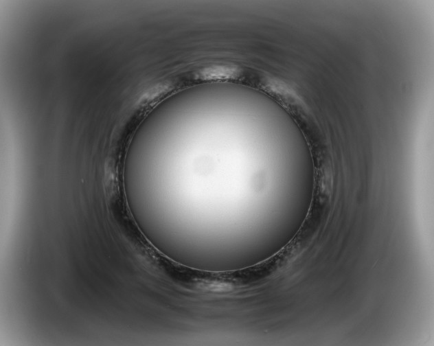 X0000086240743200704121933