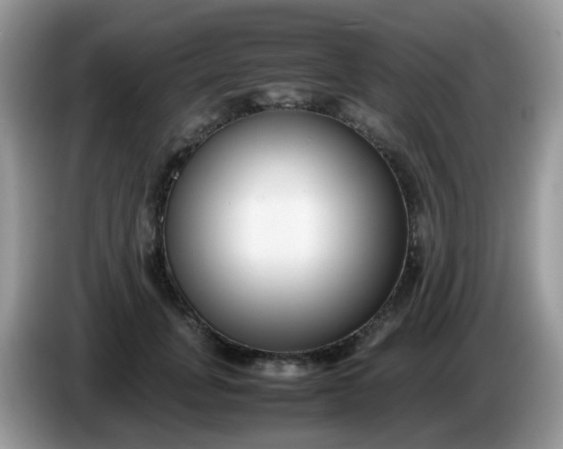 X0000086240751200704121933