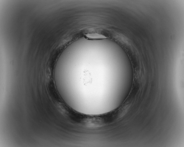 X0000086240752200704121933