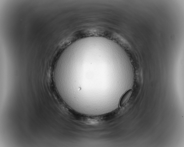 X0000086240757200704121933