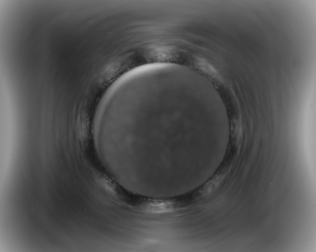 X0000086240760200704121933