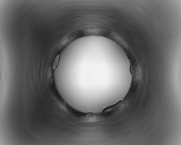 X0000086240764200704121933