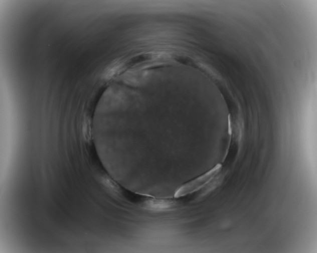X0000086240766200704121933