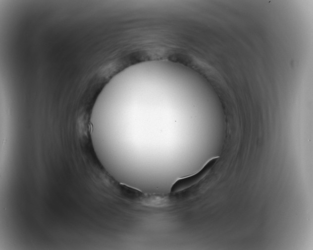 X0000086240768200704121933