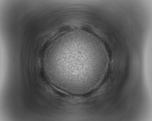 X0000086240772200704121933
