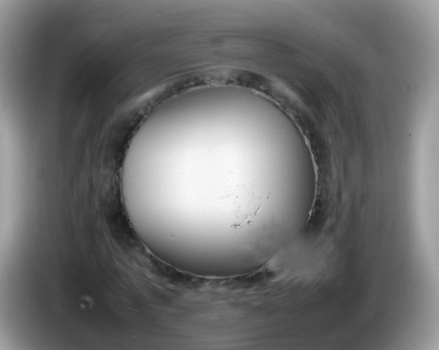 X0000086240773200704121933