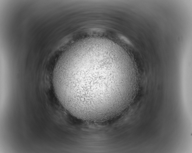 X0000086240774200704121933