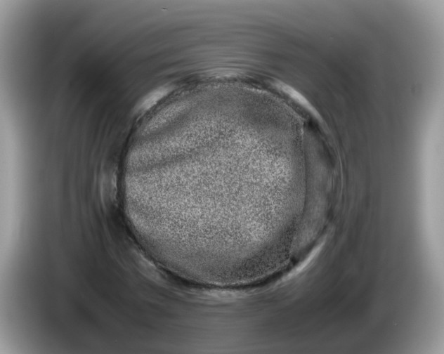 X0000086240777200704121933