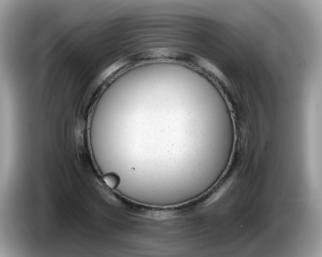 X0000086240778200704121933