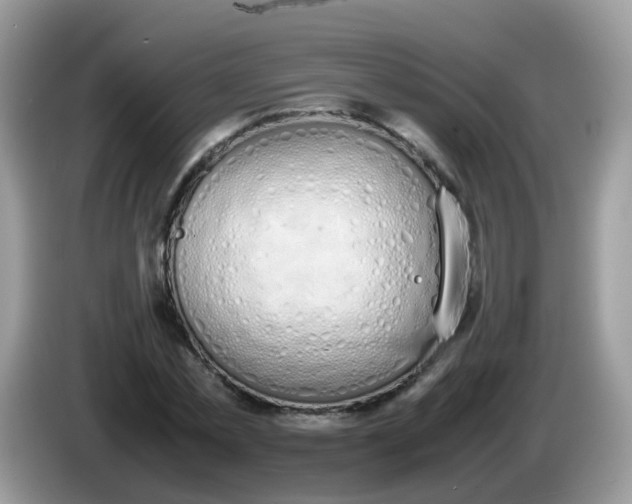 X0000086240781200704121933