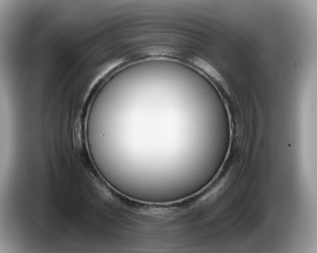 X0000086240782200704121933