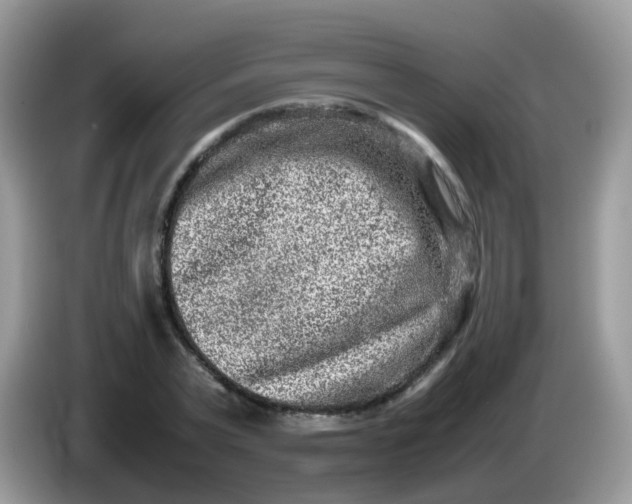 X0000086240783200704121933