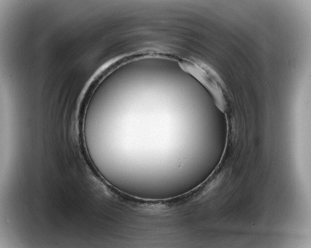 X0000086240784200704121933