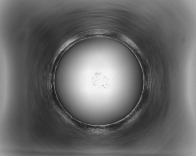 X0000086240786200704121933