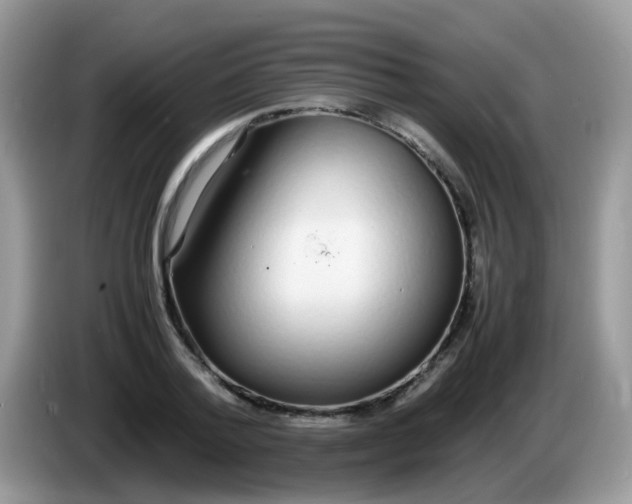 X0000086240788200704121933