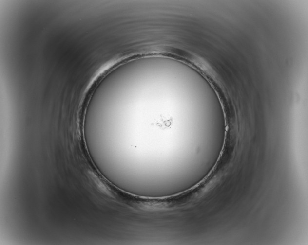 X0000086240789200704121933