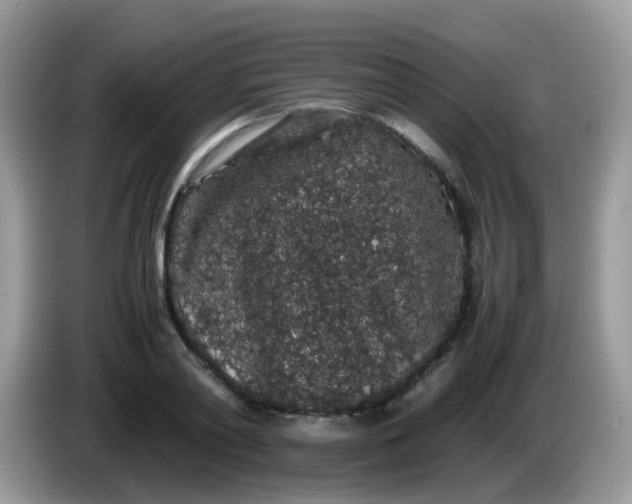 X0000086240790200704121933