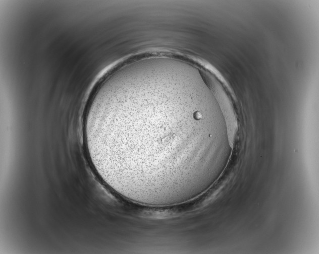 X0000086240791200704121933