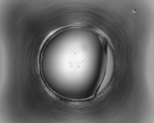 X0000086240792200704121933